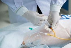 插尿管视频,专业操作与注意事项